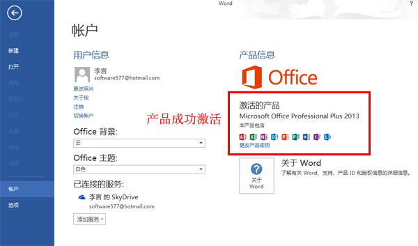 office2013ƽ